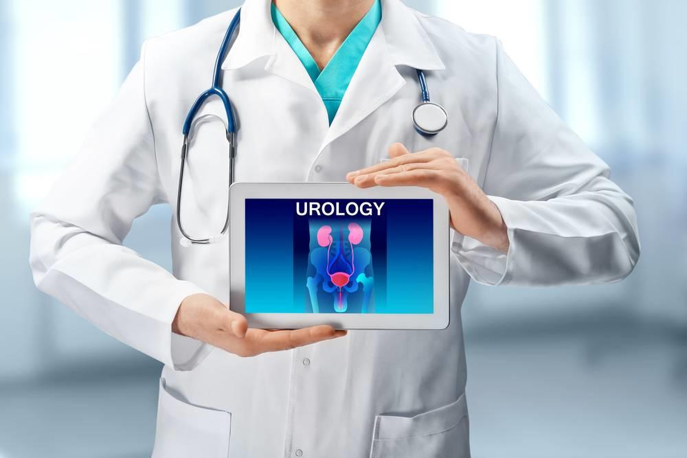 Urologia Urologia