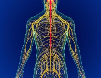 shutterstock_1704922705-1