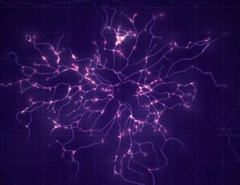 shutterstock_1825382936-1