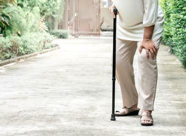 shutterstock_1994026181